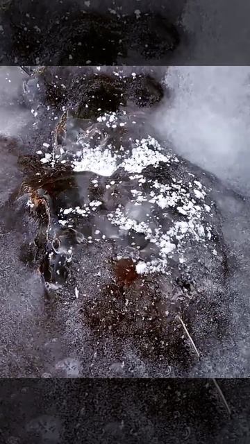 живой ручей подо льдом