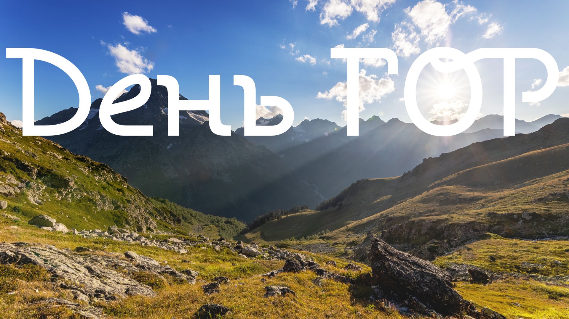 51880ca3582235d3c19913590d576299