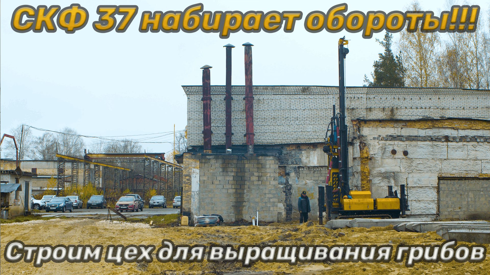 СКФ 37 набирает обороты!!Строим цех для выращивания грибов!