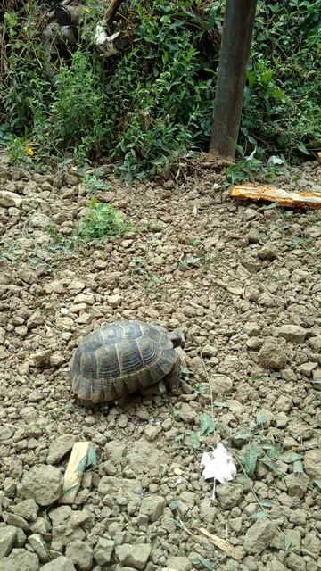 7240614ebf8280d9d3fa88753df10f82