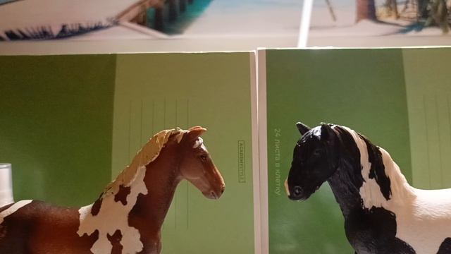 Лошади на английском, про школу
