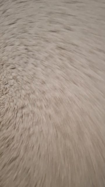 1000004177.mp4 я Прикольнулся на сестрой