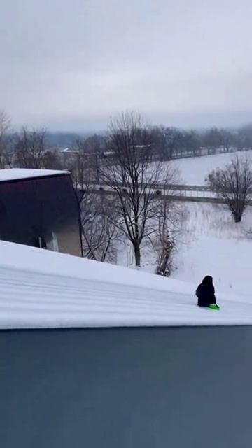 Вороний скипас... ⛷️ 🐦