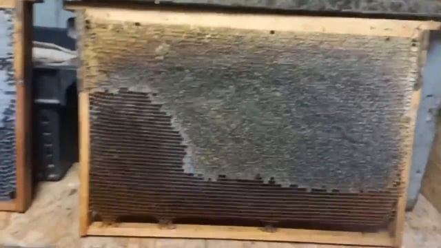 Пеноулик как Бороться с Влажностью!!!