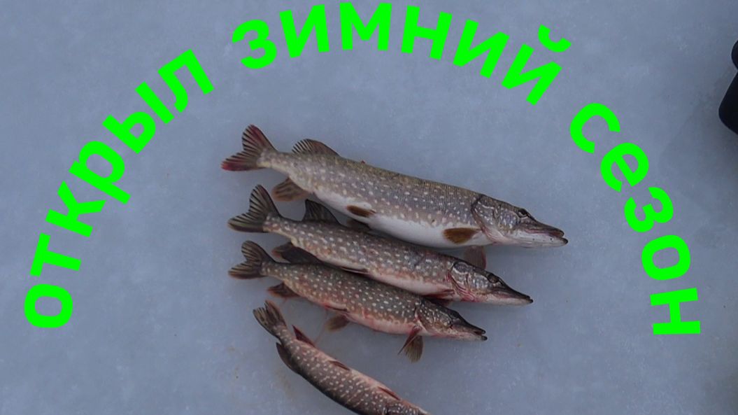 E624603a9781d77e3b5ce5ba91e5a5f2