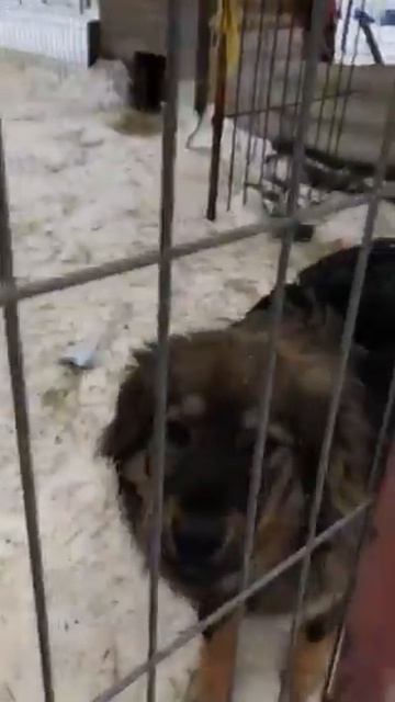 Школьники у нас в гостях❤️🤗