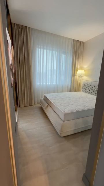 -7449967141175350545