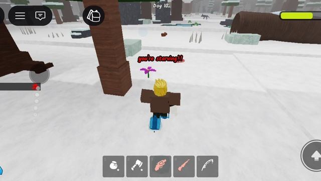 99 Nights In The Forest