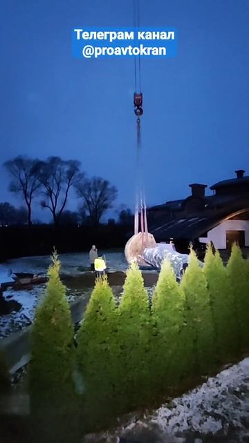 Установка живого дерева вес 3,5т #проавтокран #автокран #кран #стройка #дерево