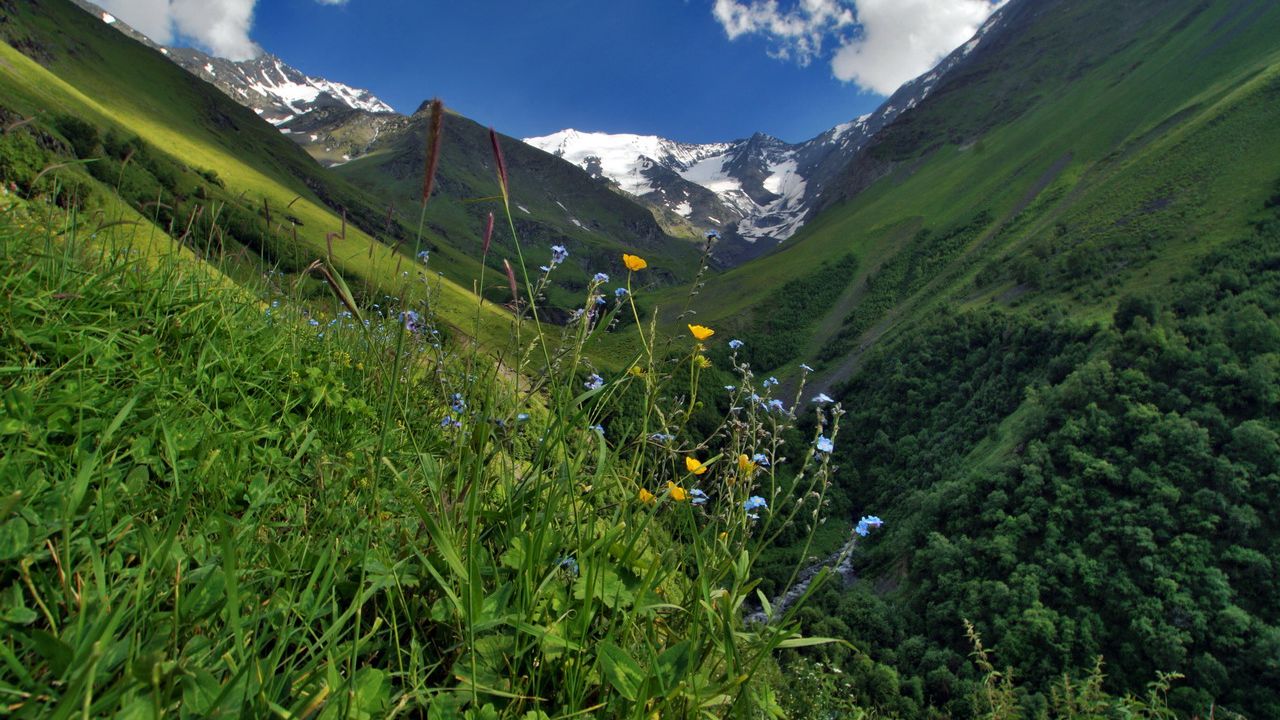 Документальный фильм.  