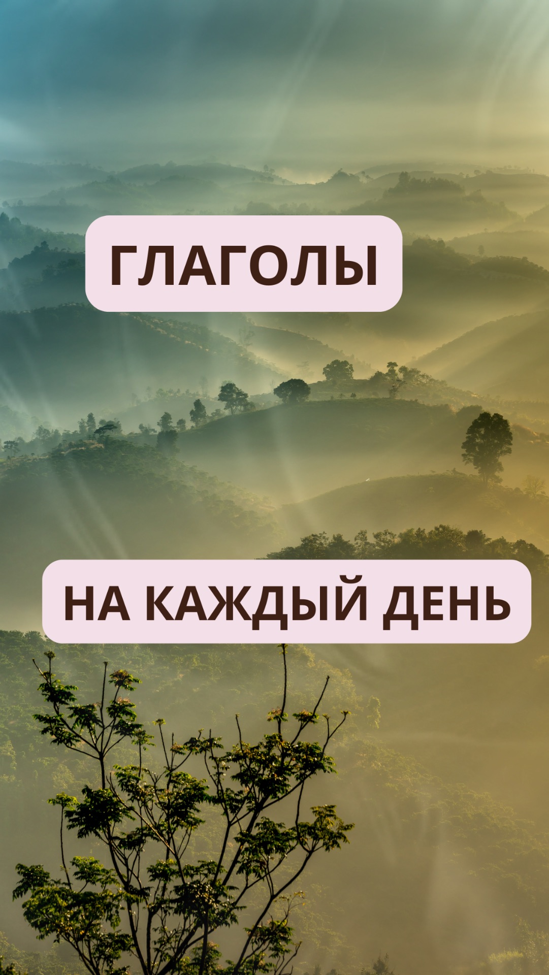 ГЛАГОЛЫ ДЕЙСТВИЯ