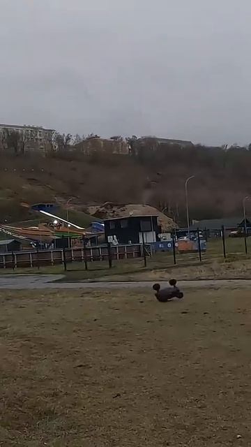 C3c86a68db0dadd96423d68a7a786ff1