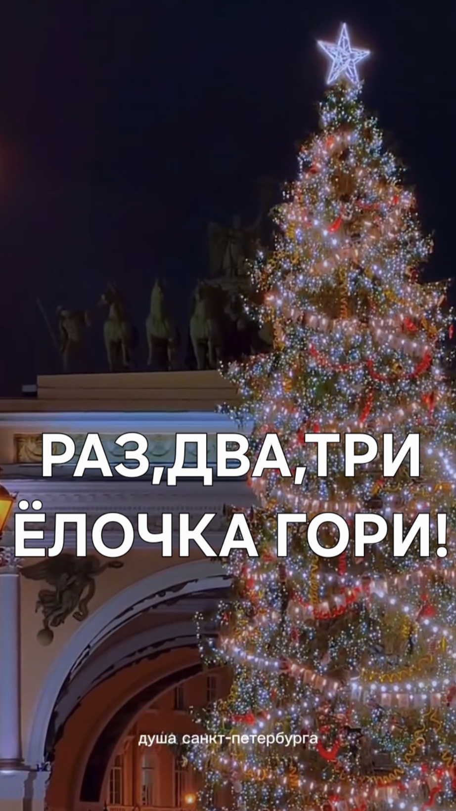 Главная новогодняя ель Петербурга на Дворцовой площади засияла тысячами огней! Как она Вам?