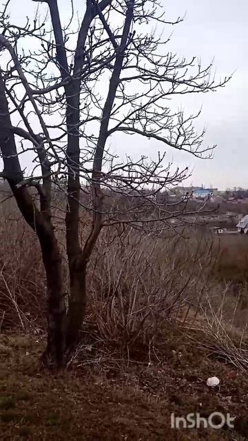 Город Осенью