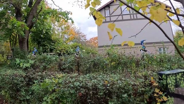 Зеленоградск 2025