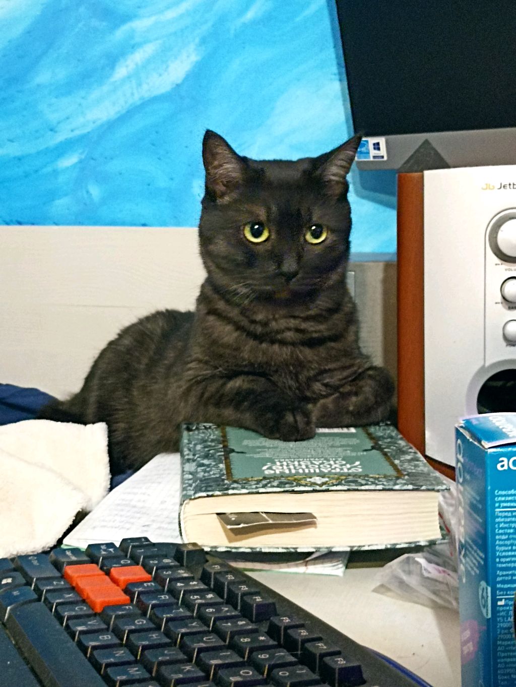 Cad9635e416b18f1762fb84a4b74ab4d