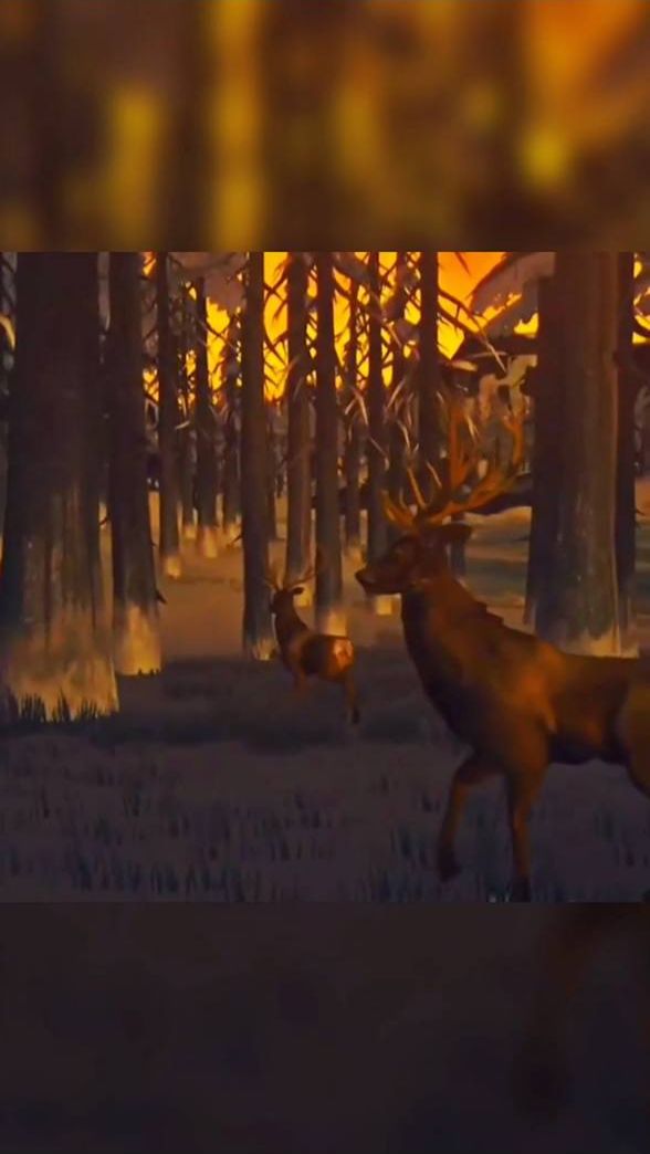 The Long Dark #shorts #игры #видеоигры