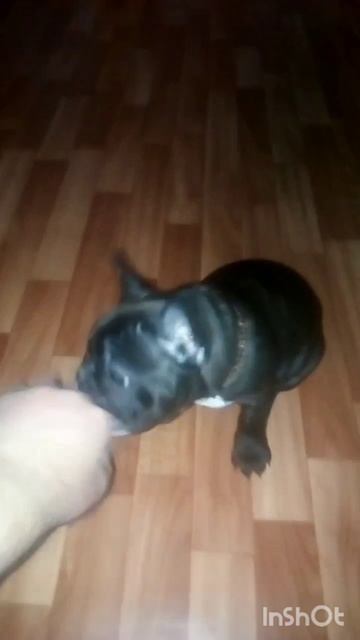 Оскар в молодости