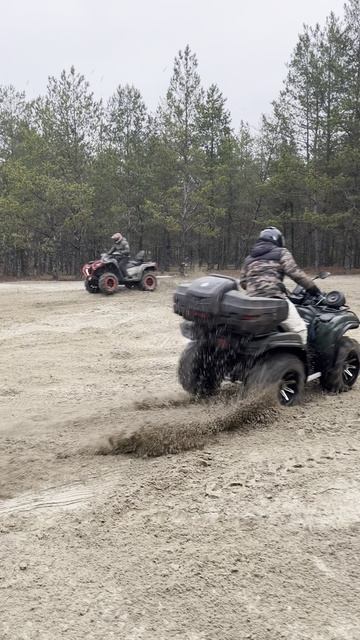 Квадроцикл ТАВРИДА 1000