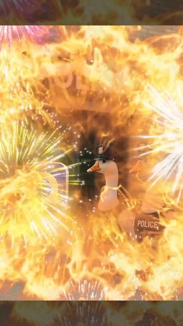 но макс макс но