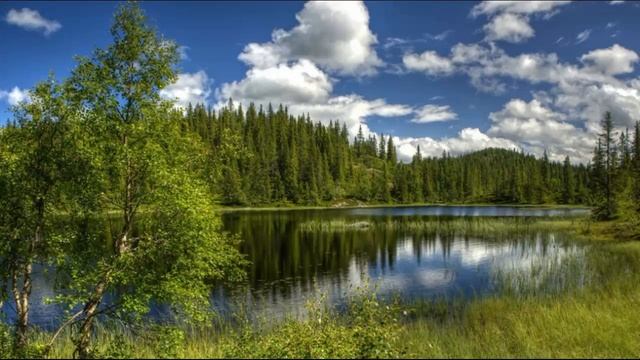 Голубая тайга