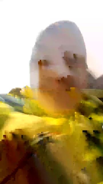 орслпгкаггапооага