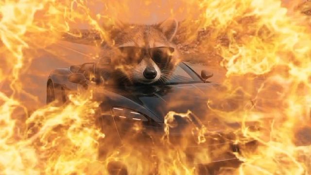 раконино макино