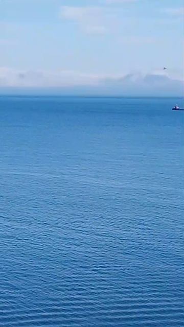 C19c3a399e91519a52a71cb146f5e7ec