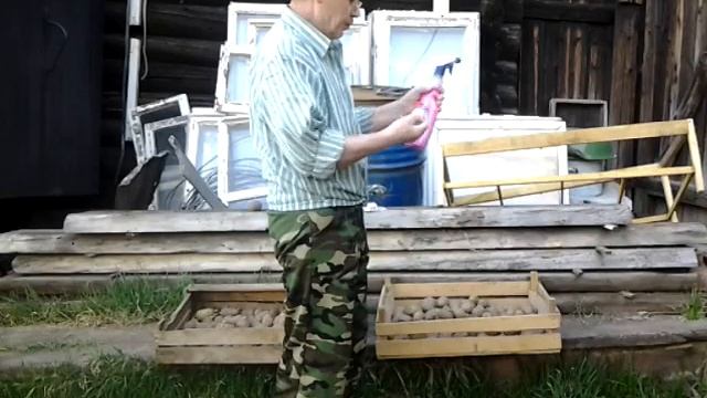 Эффективное средство от колорадского жука и проволочника.
