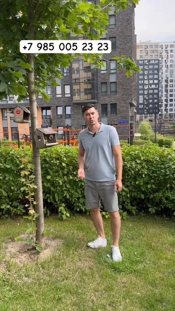 Безбарьерная среда: фатальная ошибка новичка #aleksey_mercedes