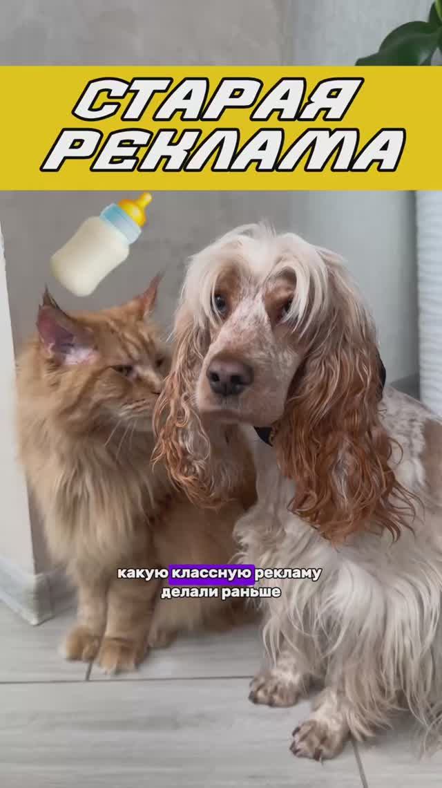 Как же круто делали!😍