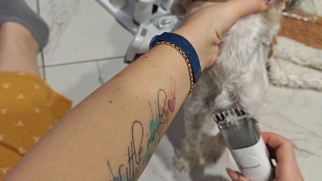 Груминг станция.