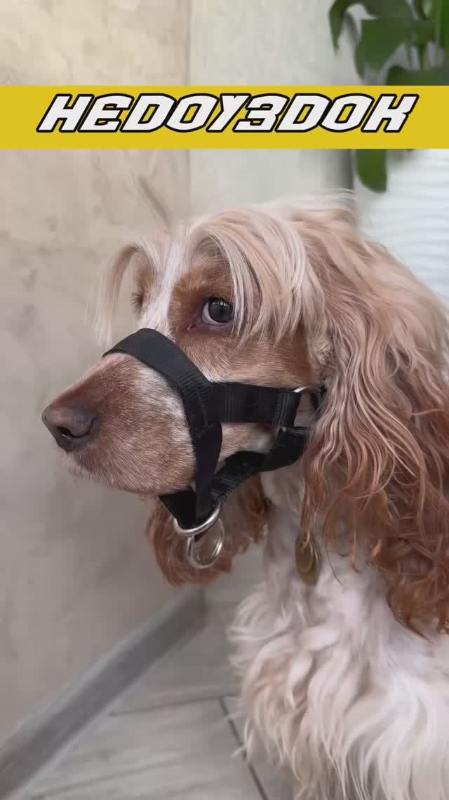 Слышали про такое?😄