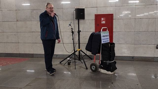 Олень на Ленинском 23.12.2025