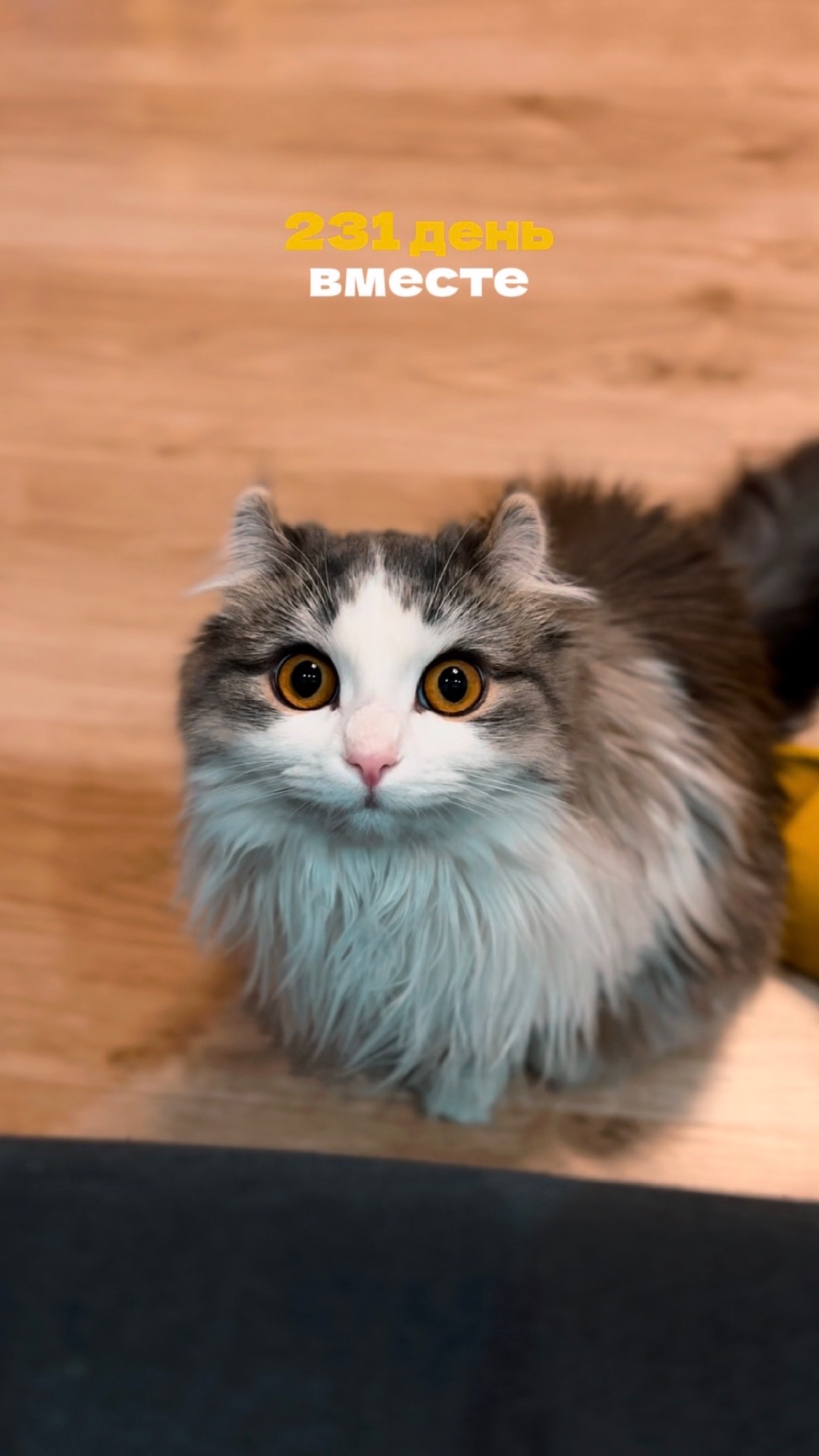 ОНИ ДЛЯ НАС ЧАСТЬ ЖИЗНИ, МЫ ДЛЯ НИХ ВСЯ ЖИЗНЬ