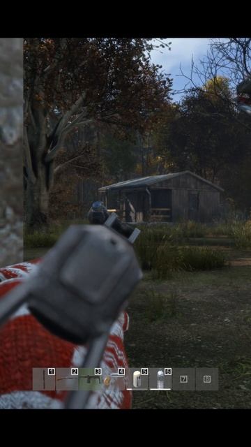 DayZ - Тип...я аж испугался #dayz