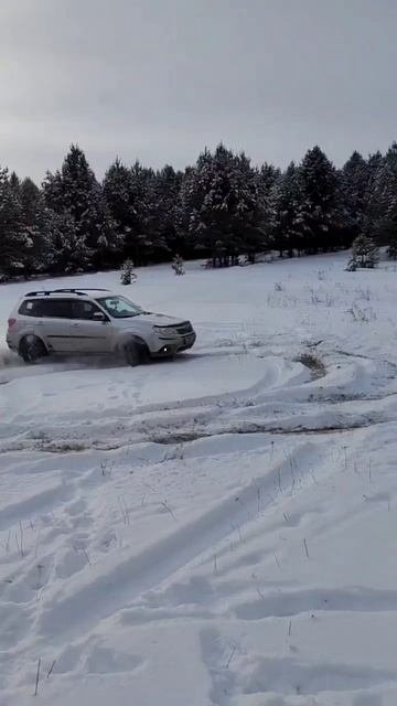 субару крутит