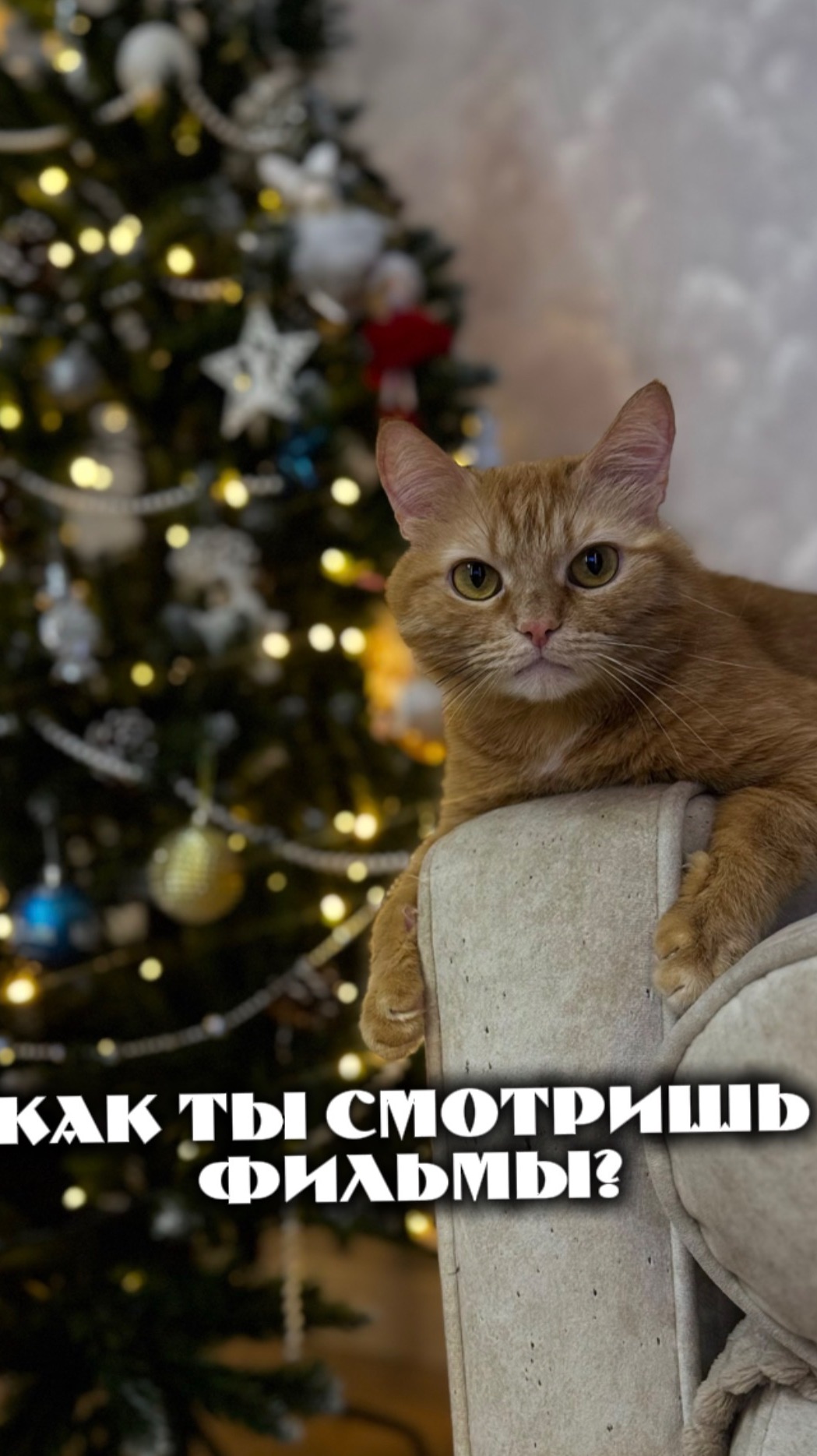 Кто так же смотрит?