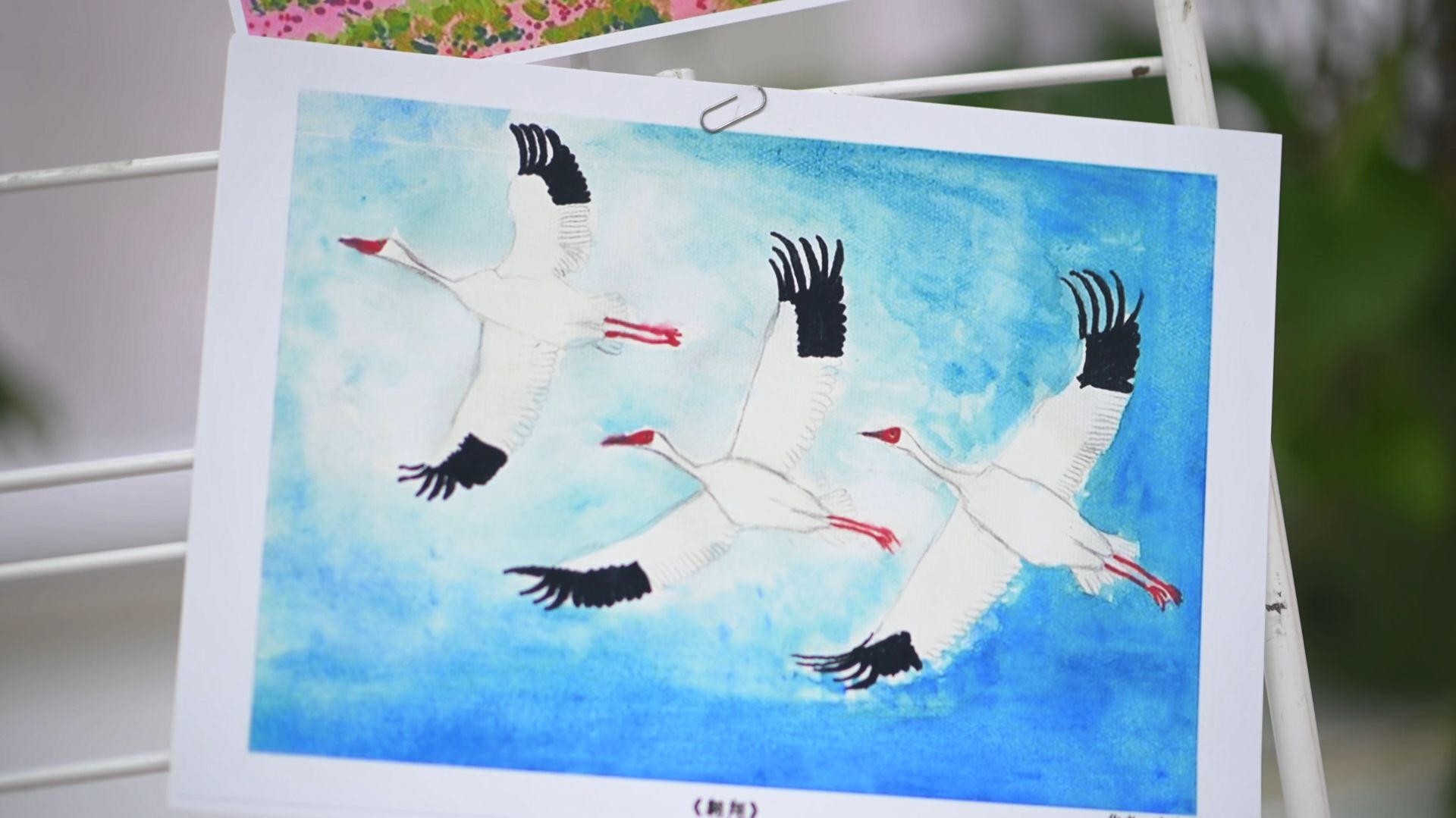 Сюжет о проекте «Полет Стерха»