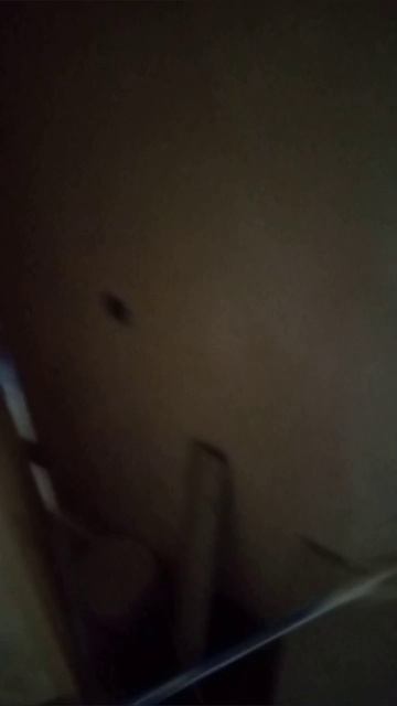 киномеханик