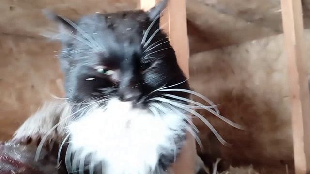 Он такой своенравный. Каждый день сурка🐔🐐🐰🦮.