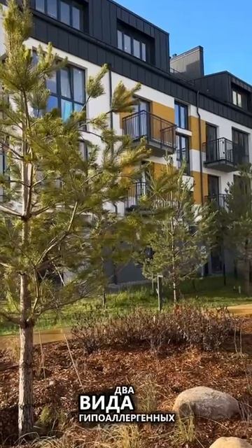 ЖК Кислород. Обзор.