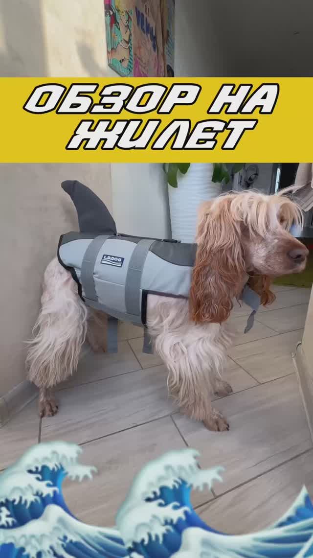 А у вас есть такой?❤️