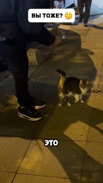 А вы тоже привязываетесь к своим устройствам? 💻☺️