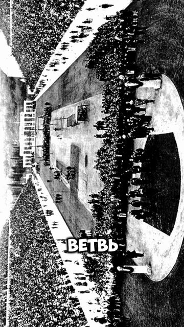 СЕКРЕТ ПЕРВЫХ ОЛИМПИЙСКИХ ИГР