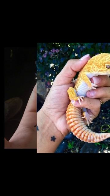 790e3caf46ce8995355a1d76cc4858d5