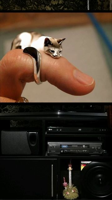 Трах Тибидох Тибидох - металлическое кольцо превращается в настоящую живую кошку 💍 🐱