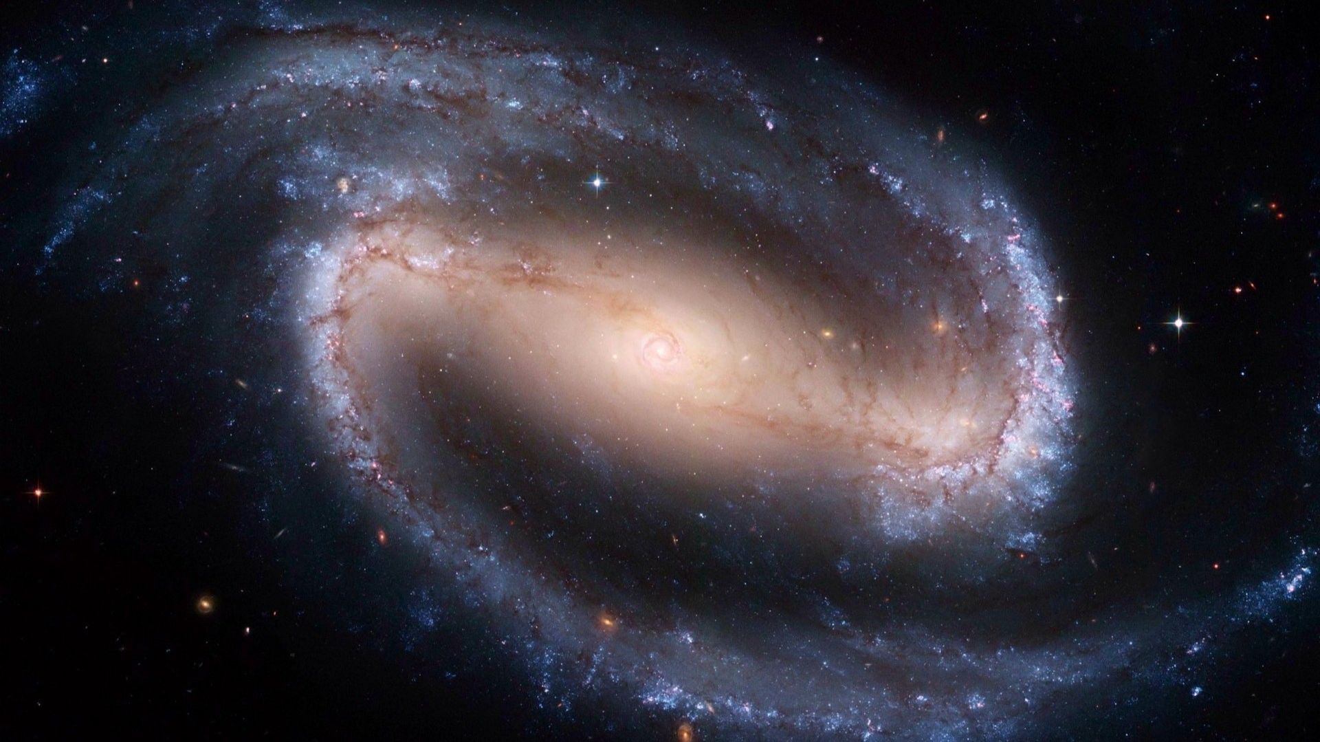 D43b79c9de21768f0997f87365a66778