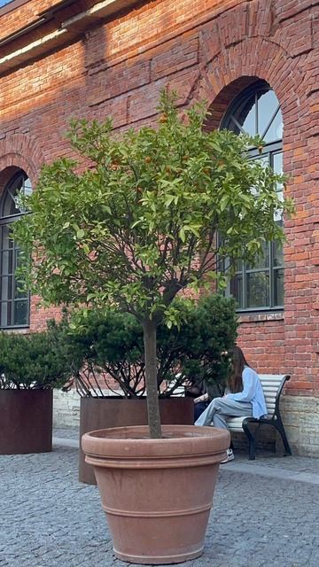 вернутся в лето