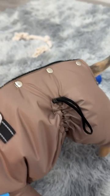 Комбинезон для собак CAMP RICH BREED